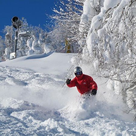Mountain Lodge Snowshoe Zewnętrze zdjęcie