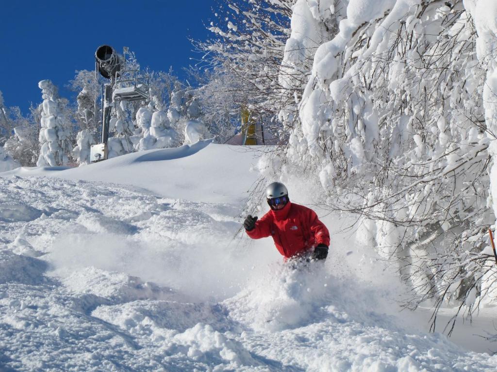Mountain Lodge Snowshoe Zewnętrze zdjęcie